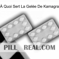À Quoi Sert La Gelée De Kamagra 17